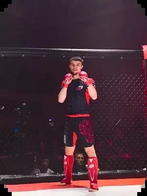 Mixed martial arts athlete