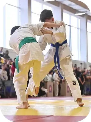 Юношеский поединок по дзюдо